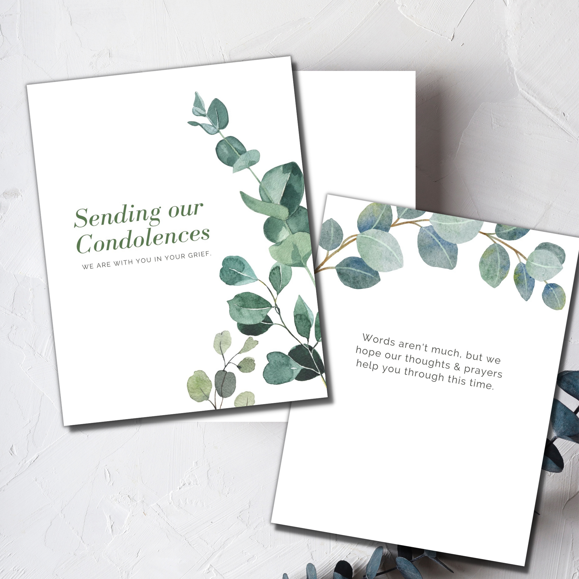 Sending Our Condolences Greeting Card